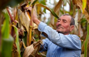 Imposto de renda 2026: produtor rural precisa redobrar atenção com novas regras