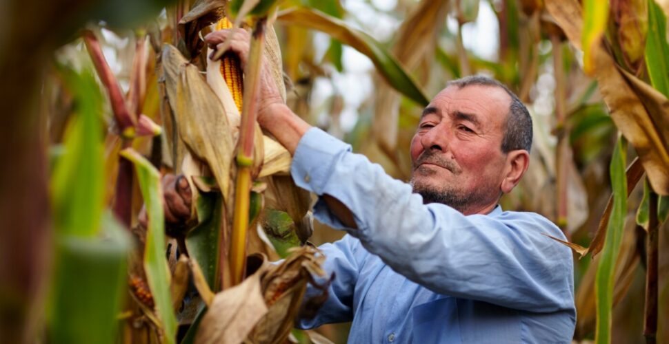 Imposto de renda 2026: produtor rural precisa redobrar atenção com novas regras