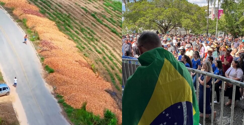 Produtores de cebola vão às ruas em sc: ‘beneficiam o de fora e a nossa produção vai pro lixo’