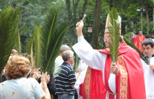 Domingo de Ramos abre a Semana Santa com a celebração da entrada de Jesus em Jerusalém