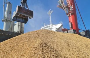 Exportações de arroz disparam 144%, mas receita sobe só 55%