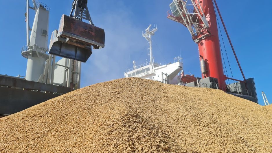 Exportações de arroz disparam 144%, mas receita sobe só 55%