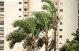 Ciclone provoca ventos fortes e coloca cidades do Sul de SC entre as mais afetadas