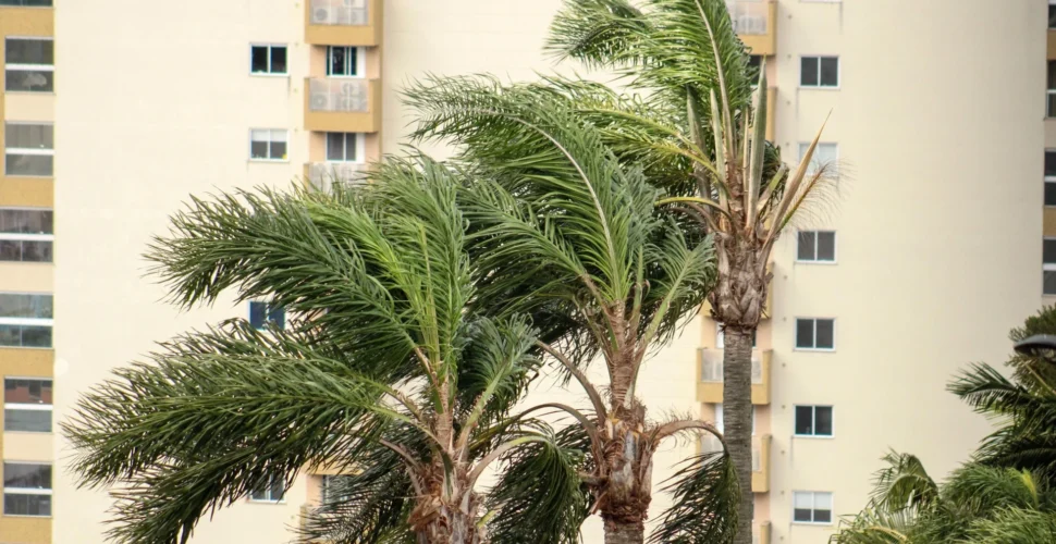 Ciclone provoca ventos fortes e coloca cidades do Sul de SC entre as mais afetadas