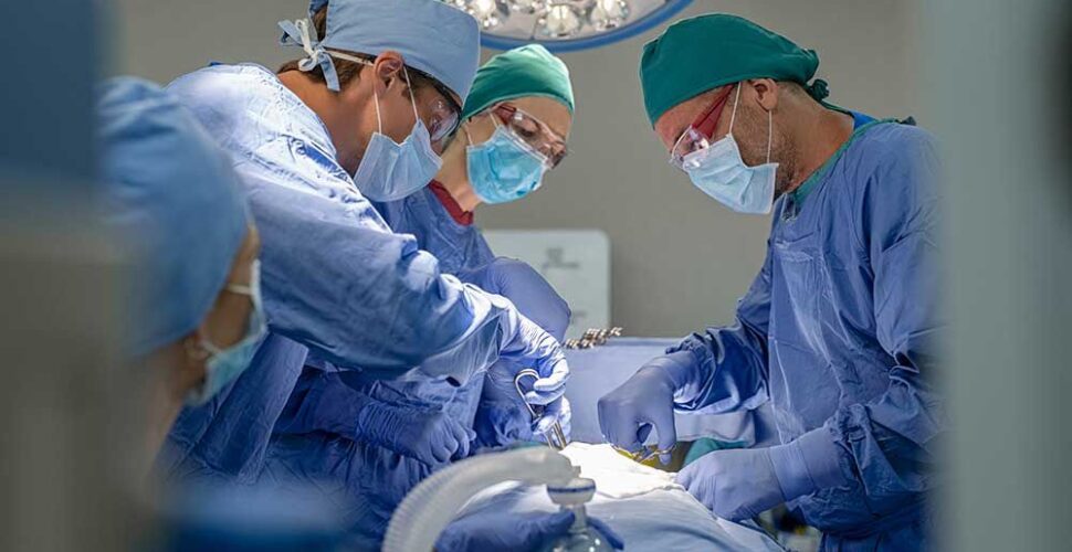 Nova lei amplia prevenção e tratamento do câncer no SUS