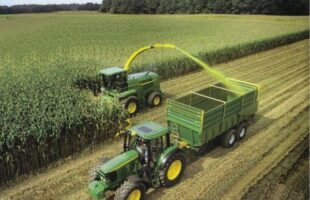 Silagem de milho garante produtividade e reforça lucratividade na pecuária leiteira de Orleans e região