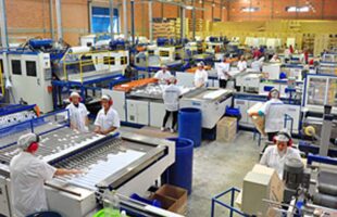 Proposta de proibição de plásticos ameaça 60 mil empregos no Sul de SC