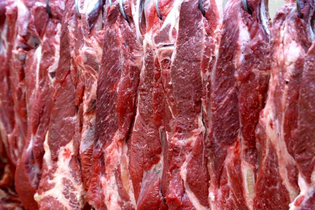 Exportações recordes de carne bovina elevam preços no mercado interno