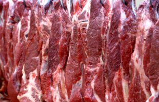 Exportações recordes de carne bovina elevam preços no mercado interno