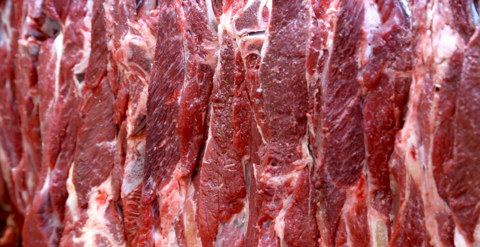 Exportações recordes de carne bovina elevam preços no mercado interno