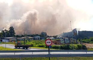 Incêndio na BR-101 em Sangão mobiliza bombeiros com vento forte e risco a motoristas