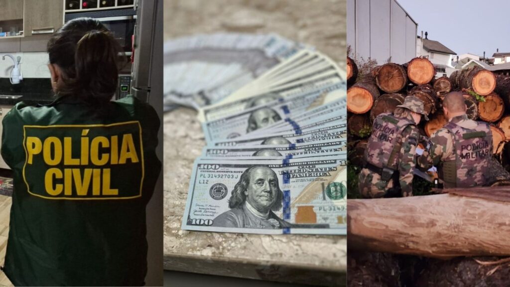 Ex-gestor de presídio é preso por desviar araucárias do estado em SC