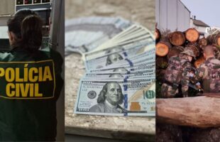 Ex-gestor de presídio é preso por desviar araucárias do estado em SC