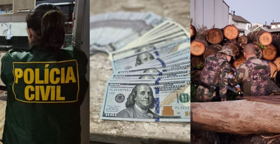 Ex-gestor de presídio é preso por desviar araucárias do estado em SC