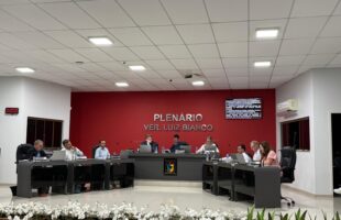 Câmara de São Ludgero aprova projeto que institui mês de valorização das pessoas com deficiência