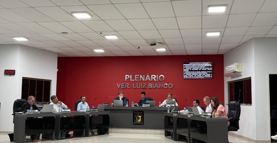 Câmara de São Ludgero aprova projeto que institui mês de valorização das pessoas com deficiência