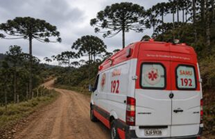 Jovem morre após sofrer descarga elétrica durante colheita de pinhão em São Joaquim