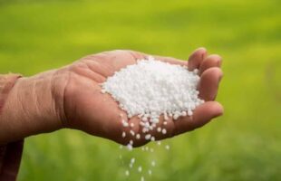 Ureia dispara e atinge maior patamar desde 2022