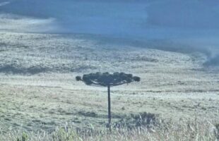 Menos 3,3°C em SC: a serra catarinense amanhece congelada em 2026