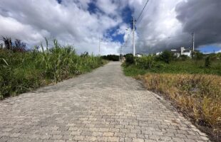 Multa de até R$ 645 para quem não mantiver terrenos limpos em Orleans