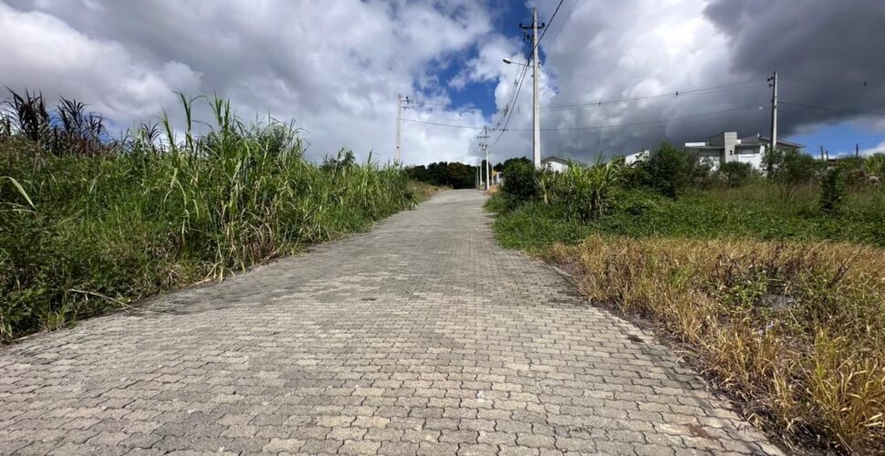 Multa de até R$ 645 para quem não mantiver terrenos limpos em Orleans