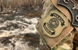 Polícia Federal investiga fraudes em sistema de controle de aves em Armazém