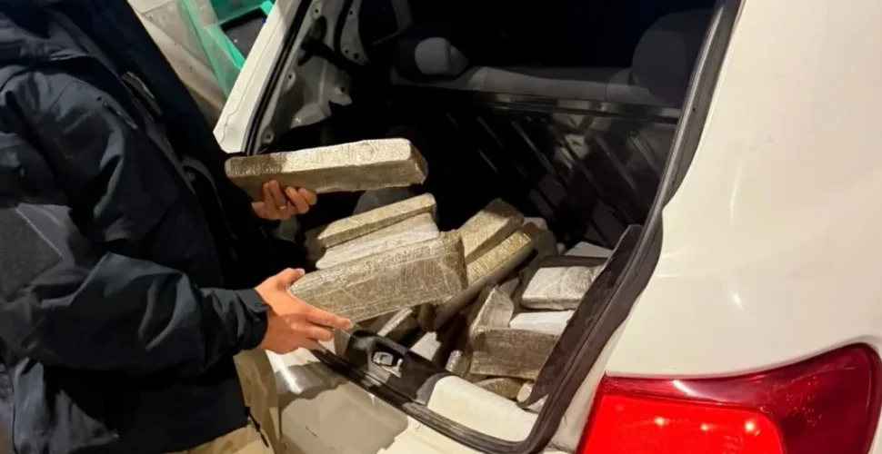 Jovens são presos com 50 quilos de maconha na BR-101 em Porto Belo