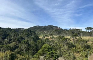 Serra catarinense registra geada e temperatura chega a 0°C nesta terça-feira