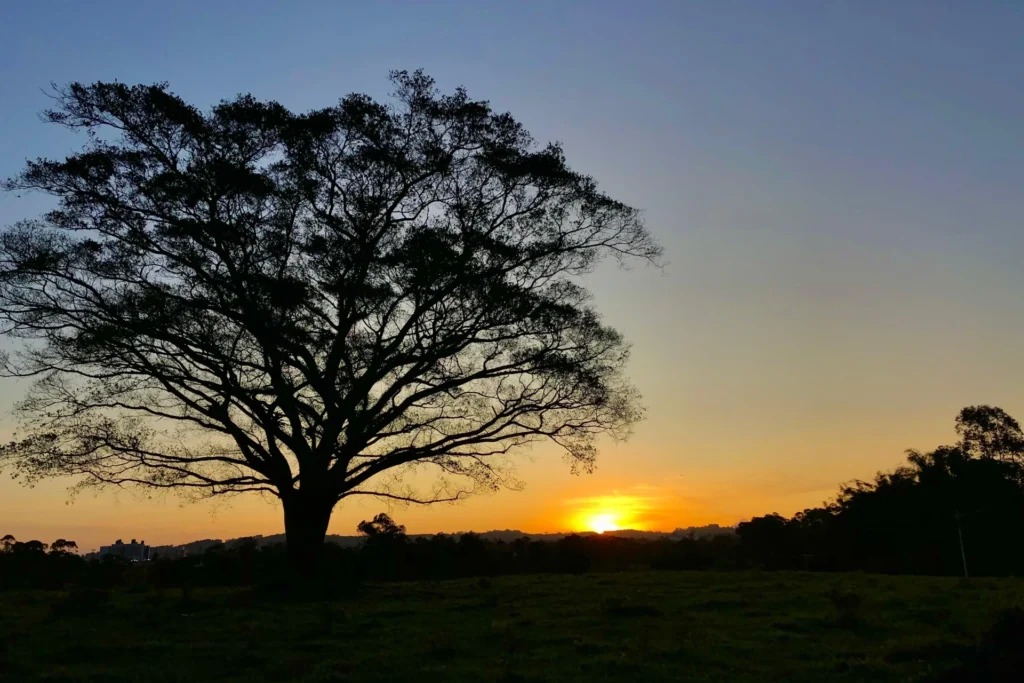 Semana terá frio nas manhãs e chance de chuva no Sul de Santa Catarina