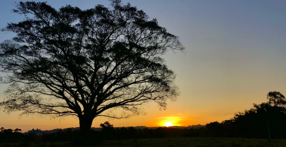 Semana terá frio nas manhãs e chance de chuva no Sul de Santa Catarina