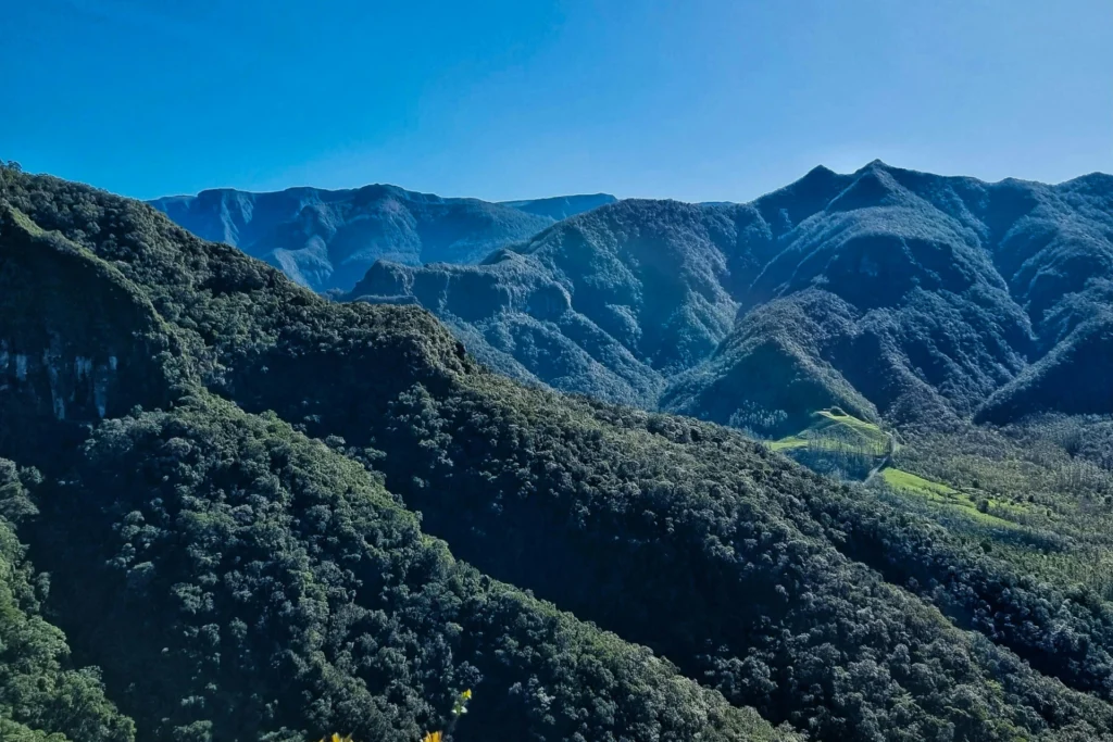 Serra catarinense registra frio intenso e Urupema tem mínima de 1,6°C