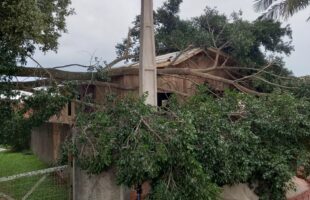 Ventania na madrugada antecede queda de temperatura e risco de geada inédita em maio no Sul catarinense