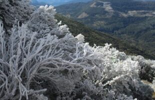 Frio intenso e geada marcam o Dia das Mães na Serra Catarinense