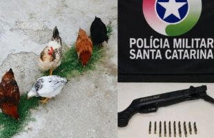 Briga entre vizinhos por bombinhas para espantar galinhas termina em tiros