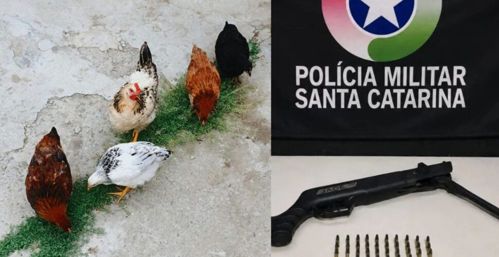 Briga entre vizinhos por bombinhas para espantar galinhas termina em tiros