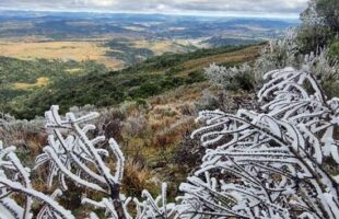 Frio extremo em SC: sensação térmica chega a -15°C e 18 cidades amanhecem abaixo de zero