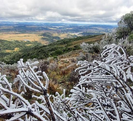 Frio extremo em SC: sensação térmica chega a -15°C e 18 cidades amanhecem abaixo de zero