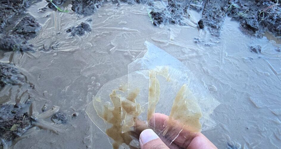 Frio congelante de -1°C traz risco de hipotermia em Santa Catarina