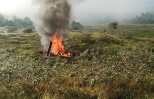 Homem morre após queda de helicóptero em Pomerode