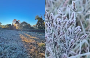 Nova massa de ar polar derruba temperaturas em SC e pode causar geada
