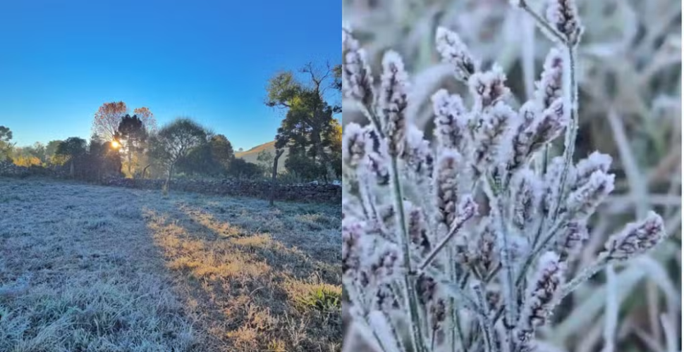 Nova massa de ar polar derruba temperaturas em SC e pode causar geada