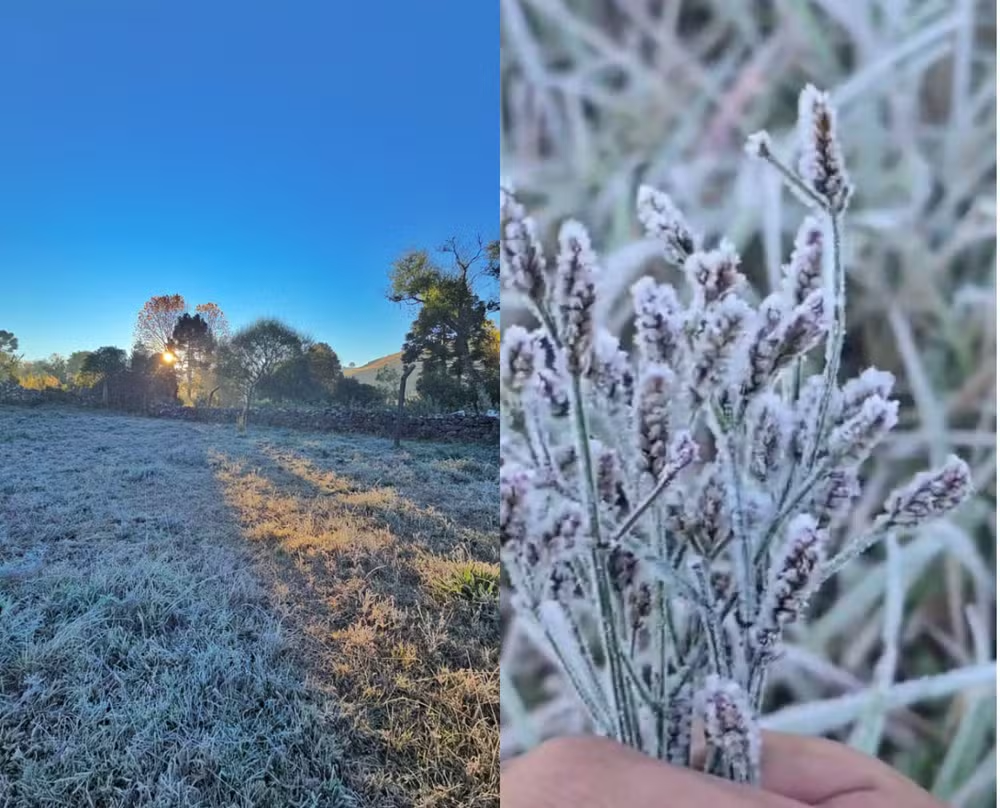 Nova massa de ar polar derruba temperaturas em SC e pode causar geada