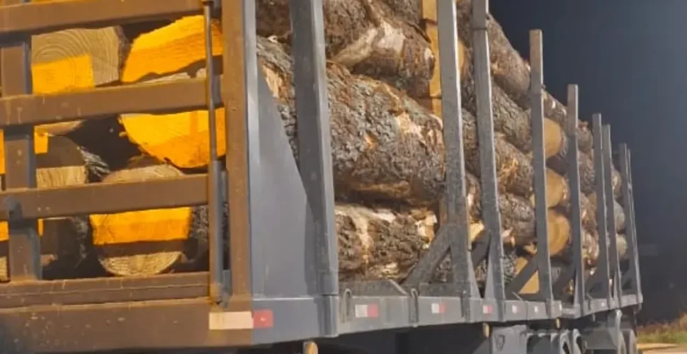 Carreta com 12 toneladas de excesso de peso é flagrada em Gravatal