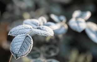 Junho terá início do inverno e temperaturas típicas da estação em Santa Catarina