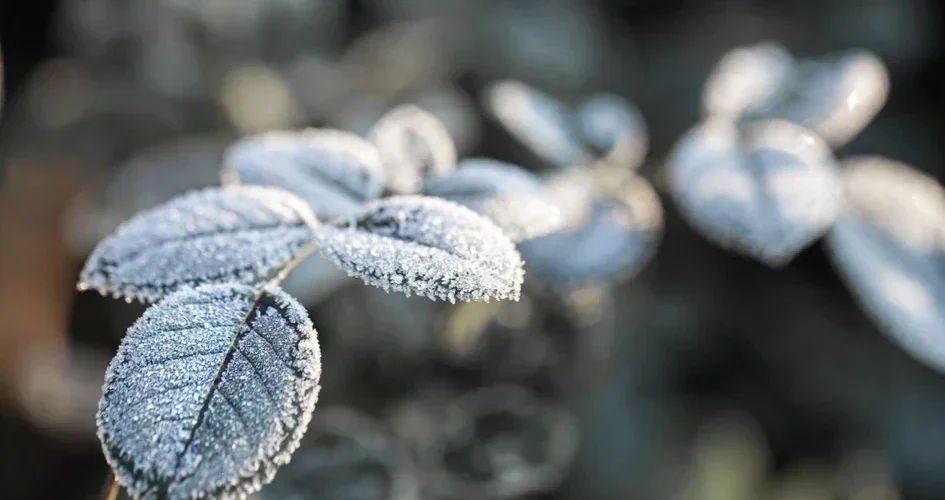 Junho terá início do inverno e temperaturas típicas da estação em Santa Catarina