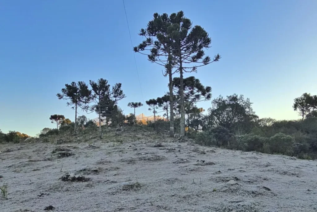 Serra Catarinense registra temperaturas abaixo de zero neste sábado