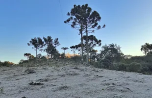 Serra Catarinense registra temperaturas abaixo de zero neste sábado