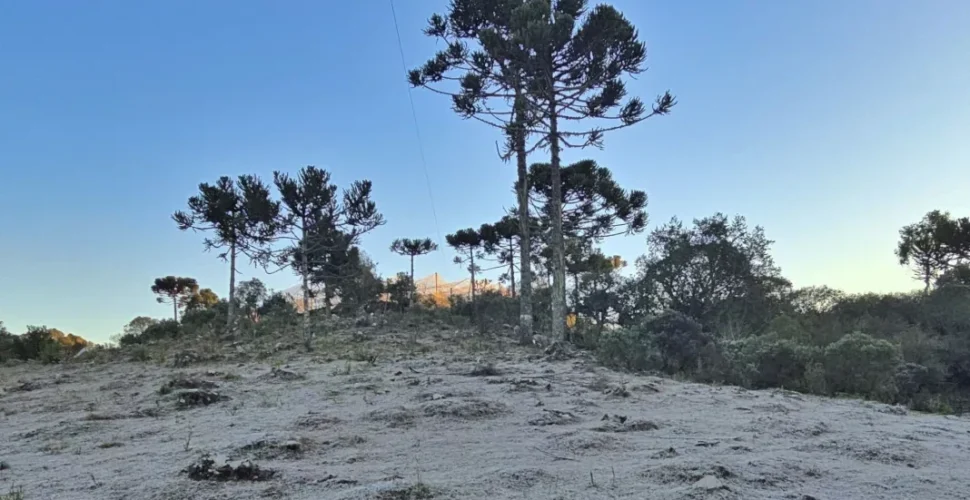 Serra Catarinense registra temperaturas abaixo de zero neste sábado