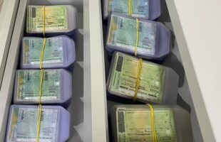 Detran-SC alerta para retirada de CNHs antes da destruição dos documentos