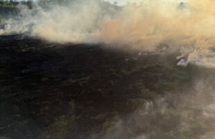 Incêndio em vegetação mobiliza bombeiros no bairro Morro Grande, em Sangão